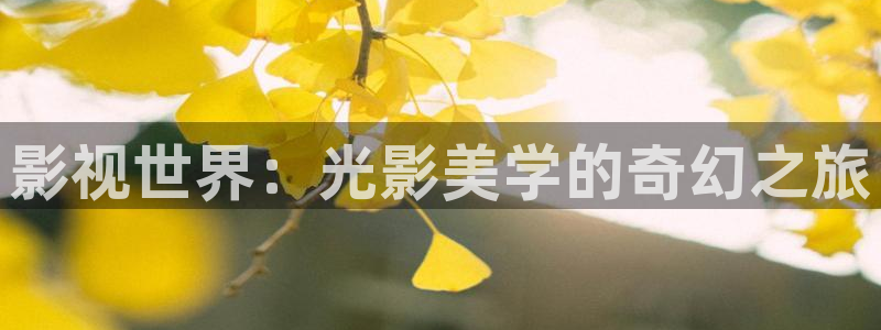 久久午夜电影院
