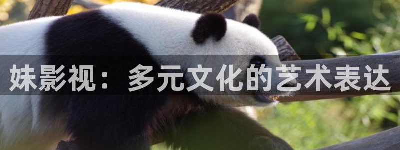 午夜影院红桃视频