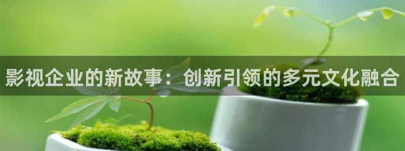 关于午夜的电影
