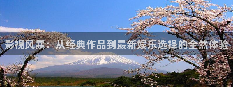 八戒午夜影视