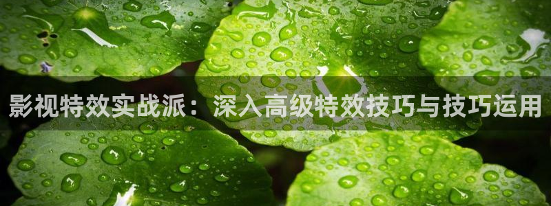 午夜大片动漫