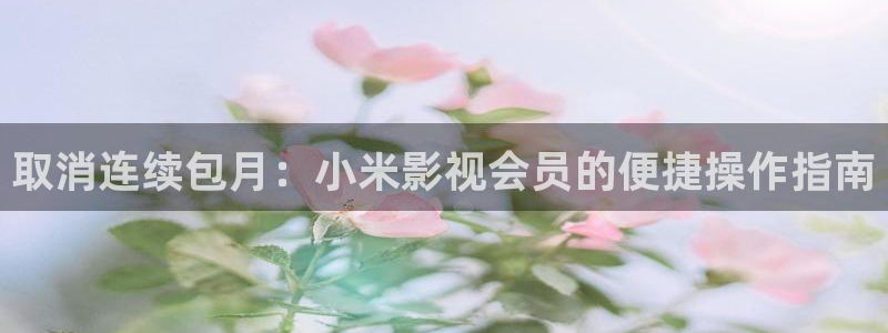午夜dy888影院