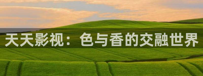 神马电影网午夜不卡