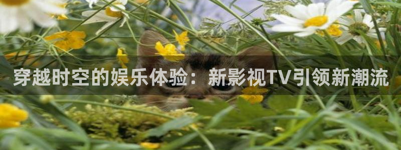 午夜剧场神马影院在线观看