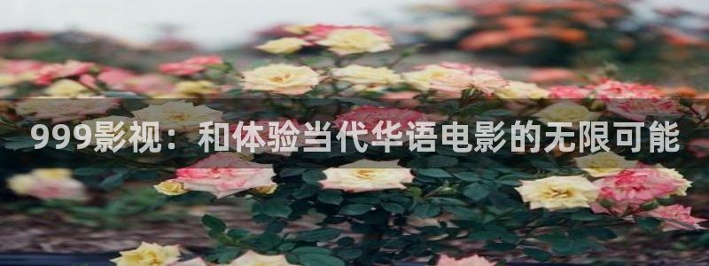 久久电影午夜